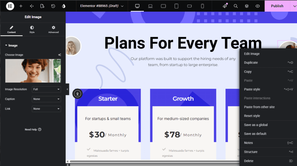 screenshot of Elementor Pro website builder drag and drop editor